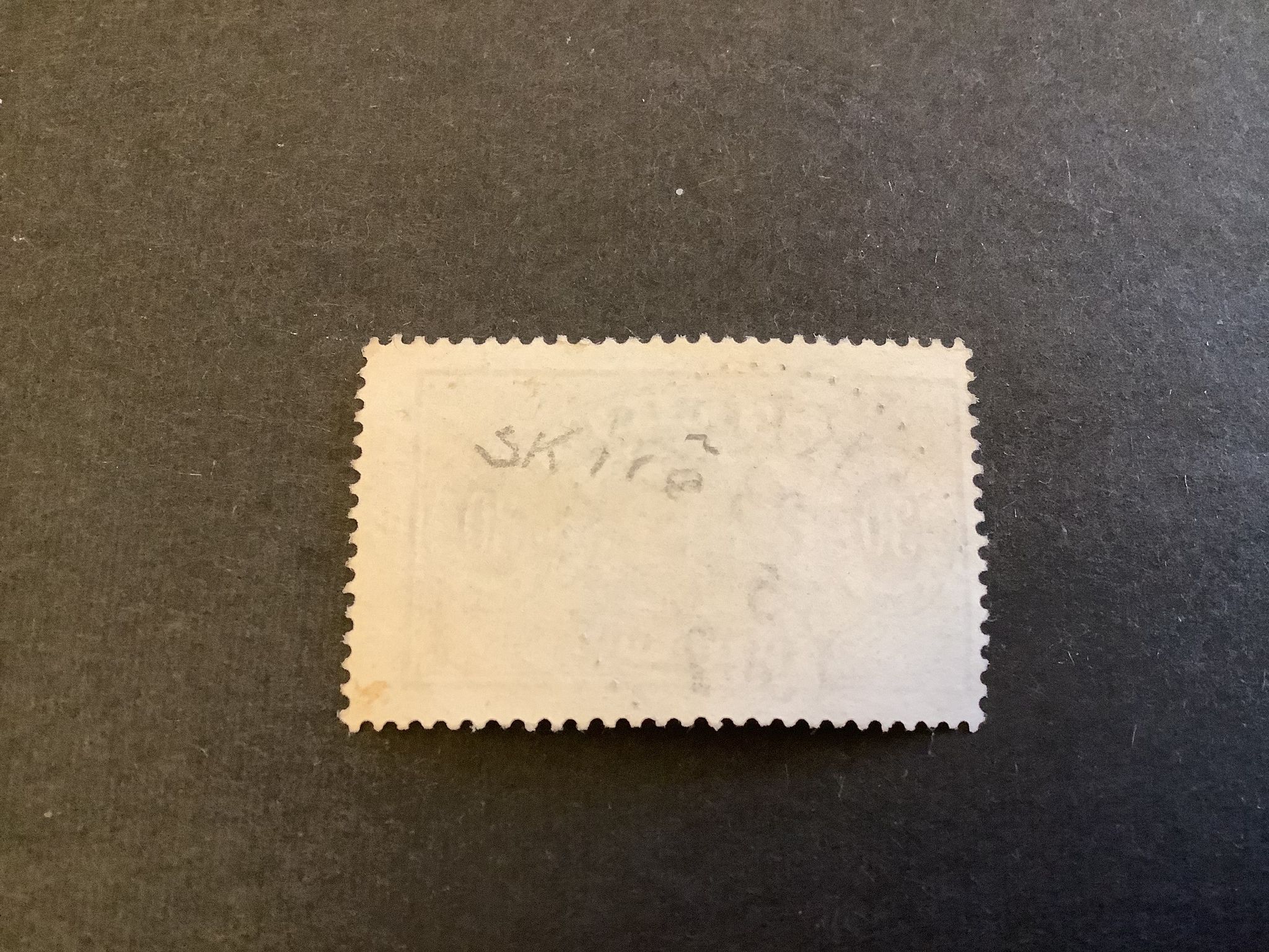 TJ 21 praktstämplat SKIRÖ