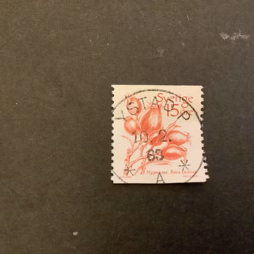 Frukter facit nr 1243 lyxstämplat YSTAD P