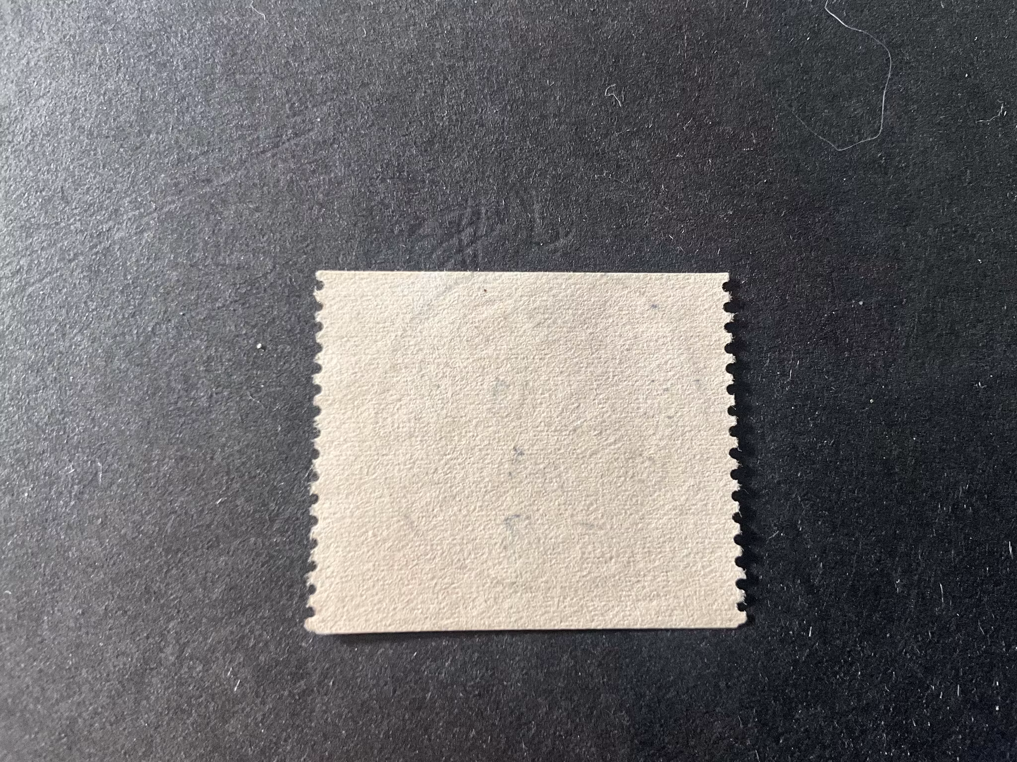 Bibeln facit nr 328 A prakt/lyxstämplat OSKARSTRÖM