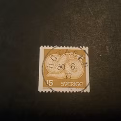 Bronsspänne lyxstämplat HOTAGEN , sista dag