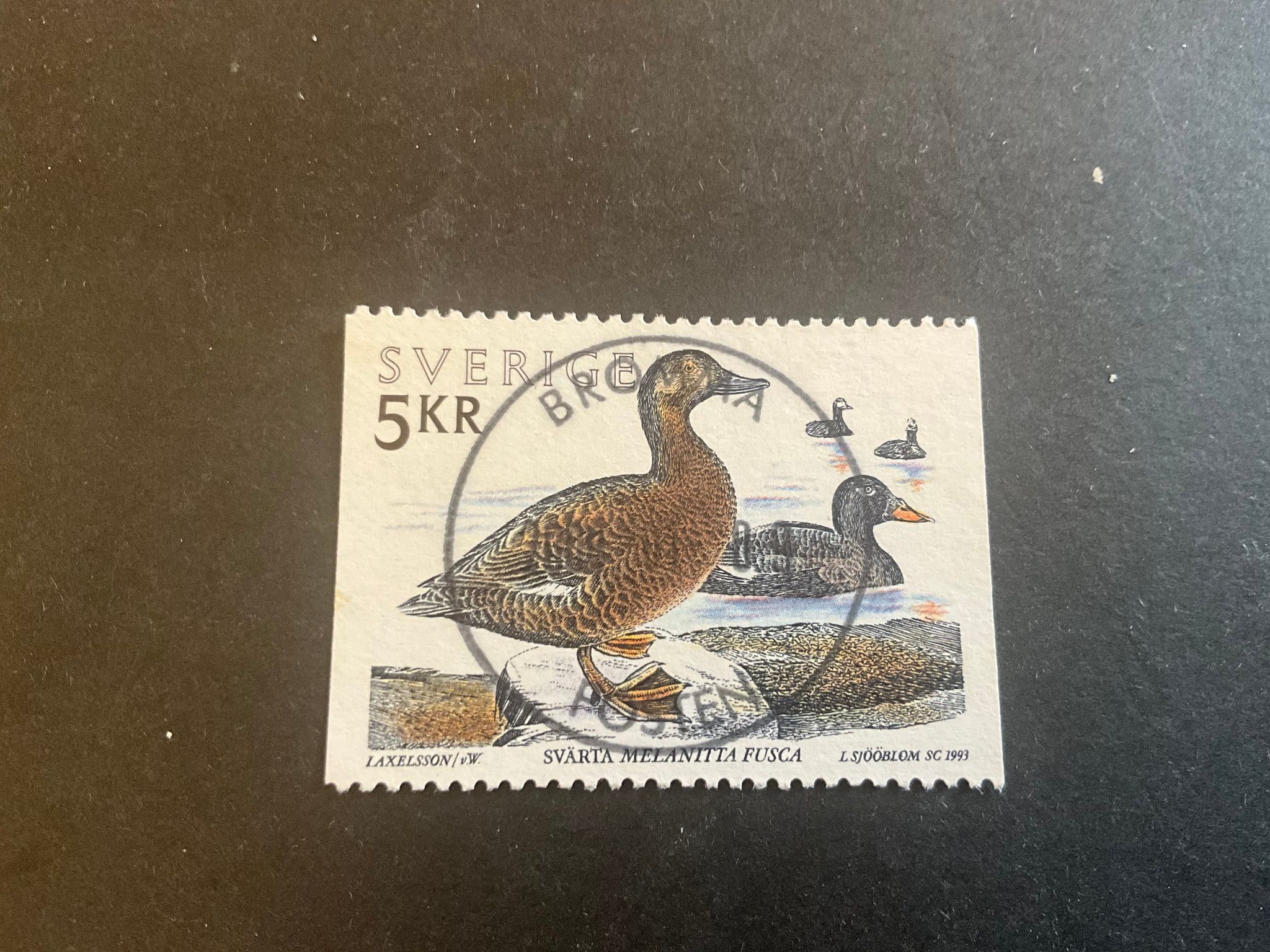Sjöfåglar facit nr 1807 lyxstämplat BROMMA