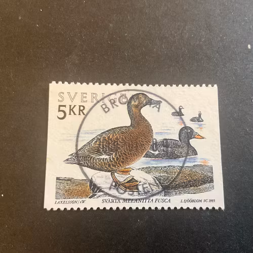 Sjöfåglar facit nr 1807 lyxstämplat BROMMA