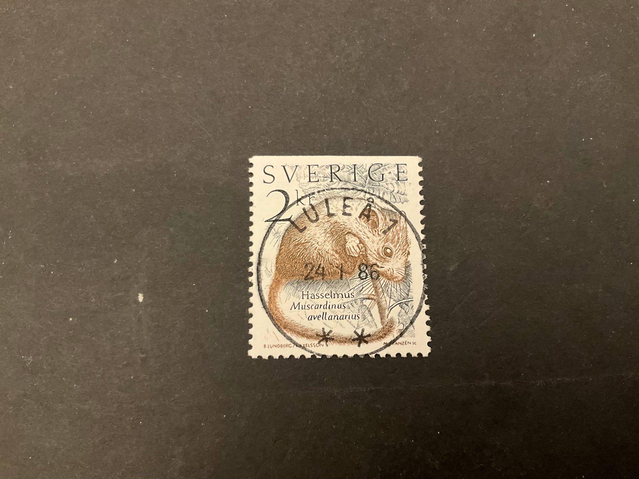 Levande natur facit nr 1339 lyxstämplat LULEÅ 1