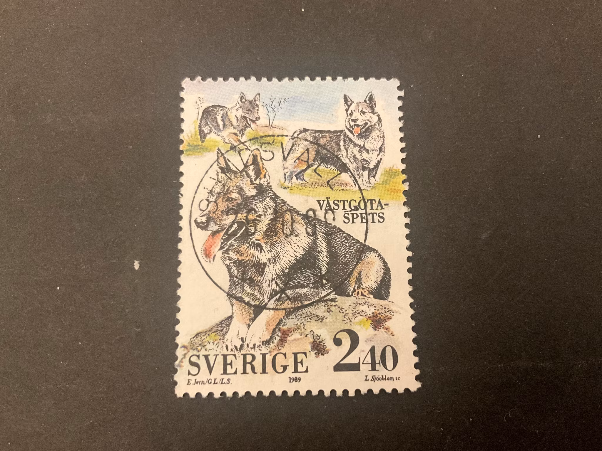 Svenska hundar facit 1588 lyxstämplat SUNDSVALL 1