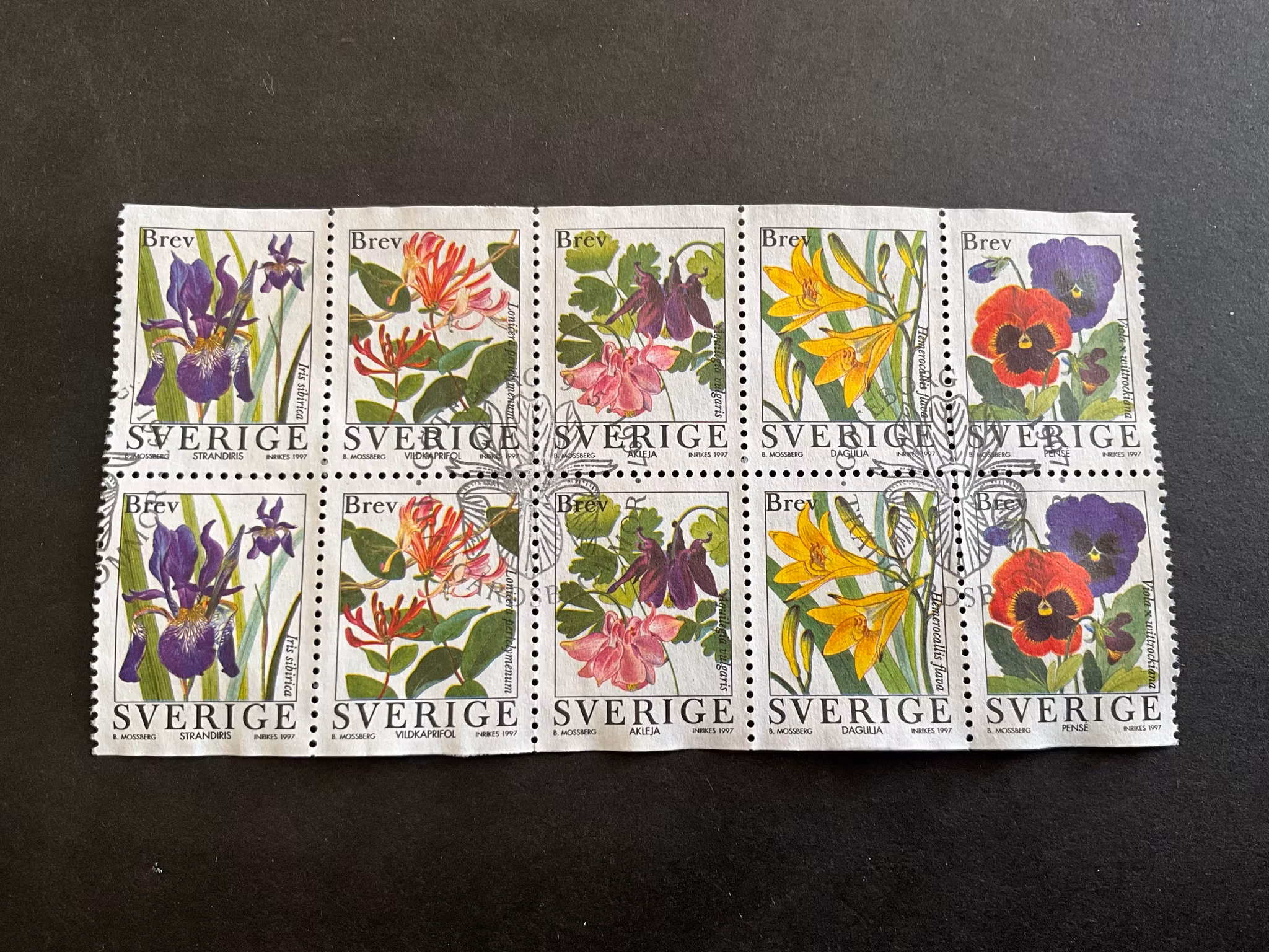 Trädgårdsblommor facit nr 2013-2017 BB i stämplat block