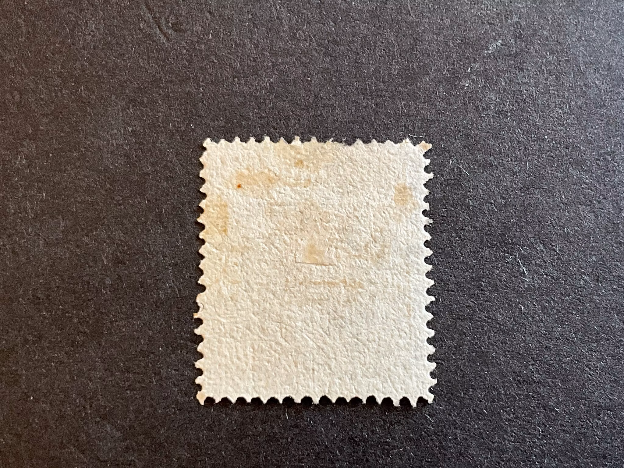 Vapentyp II facit facit 10 med streck lver höger 24