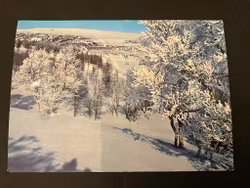 Kort från Storlien stämplat Högfjällshotellet frankerat 553 A