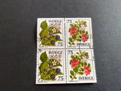 Vilda bär facit 1011-1012 BB i stämplat 4-block.
