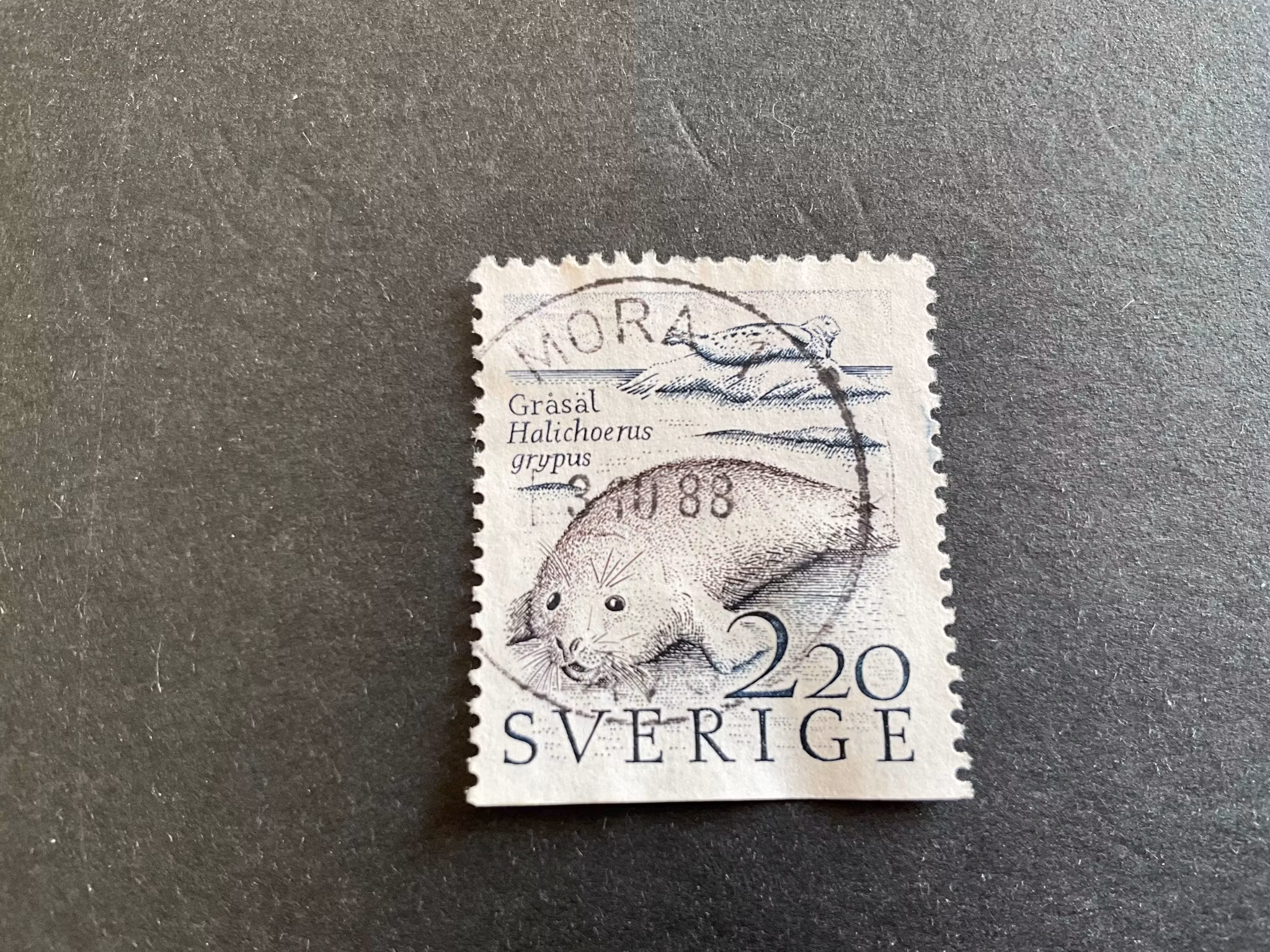 Kusthavet facit 1497 B2 praktstämplat MORA