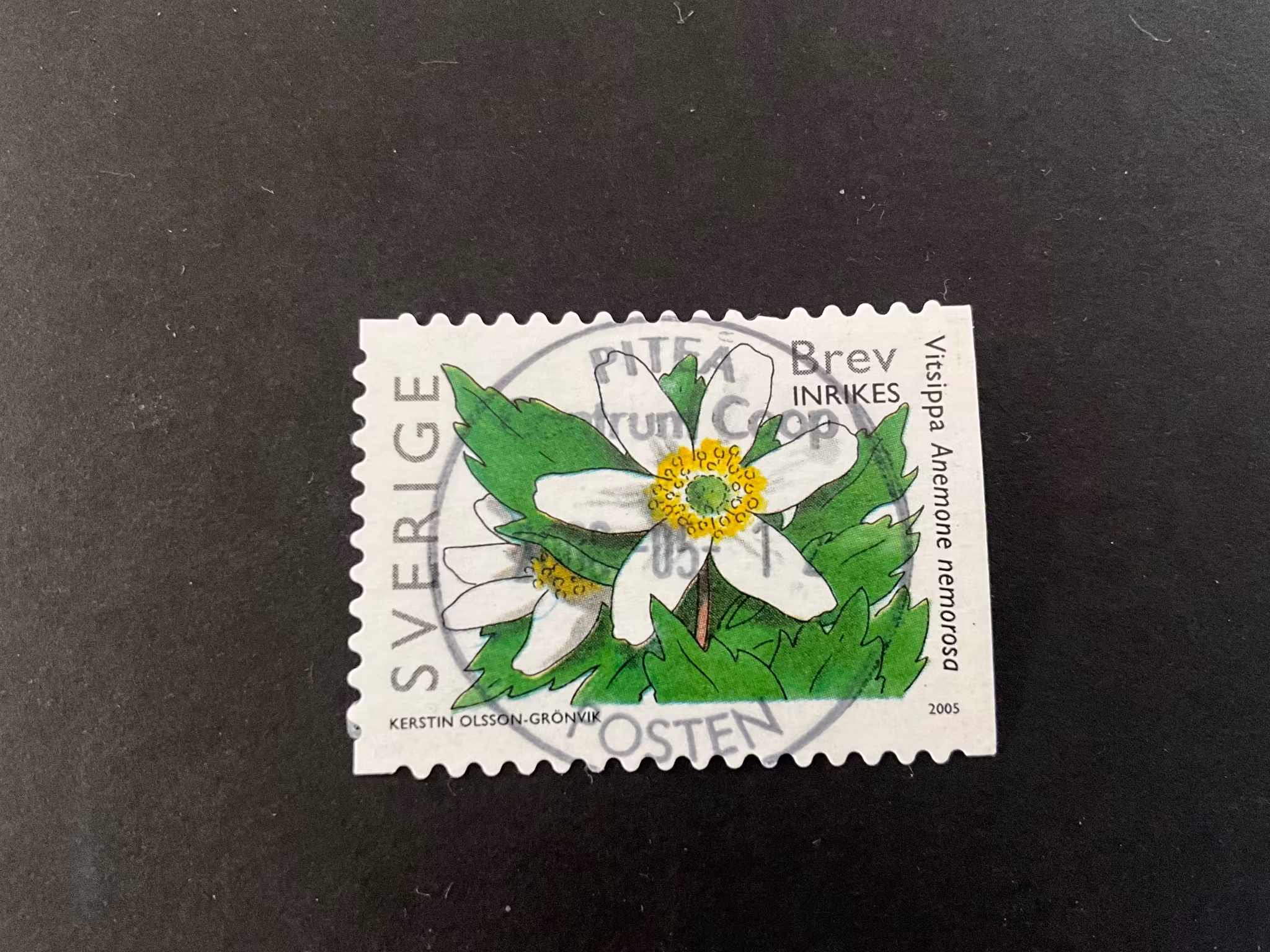 Vårtecken facit 2482 lyxstämplat PITEÅ CENTRUM COOP