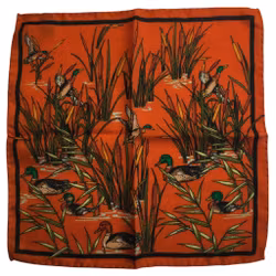Ducks and Reed Wool Pocket Square - Orange