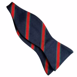 Regimental Rep Silk Bow Tie - Navy Blue/Red/Green