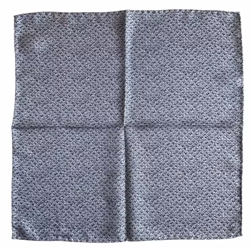 Småmönstrad Sidennäsduk - Vit/Ljusblå