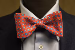 Floral Printed Silk Bow Tie - Bright Red/Blue