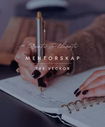Create To Elevate - mentorskap tre veckor