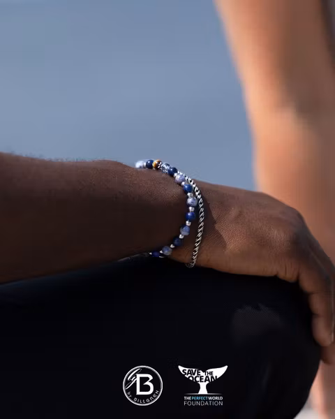 Save the Ocean