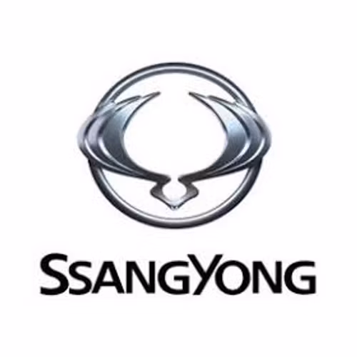 Färdigskuren Proffs Solfilm SsangYong