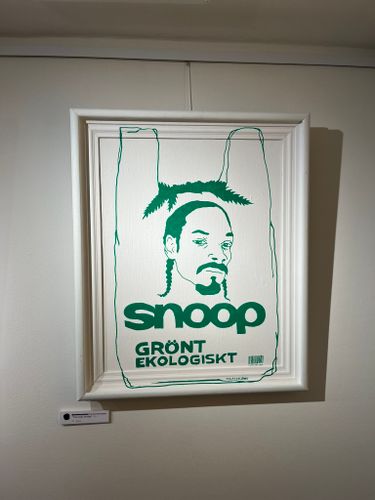 snoop