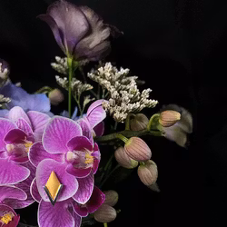 PIL. Örhängen medi, mixade