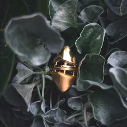 TEMPEL. Ring, guld