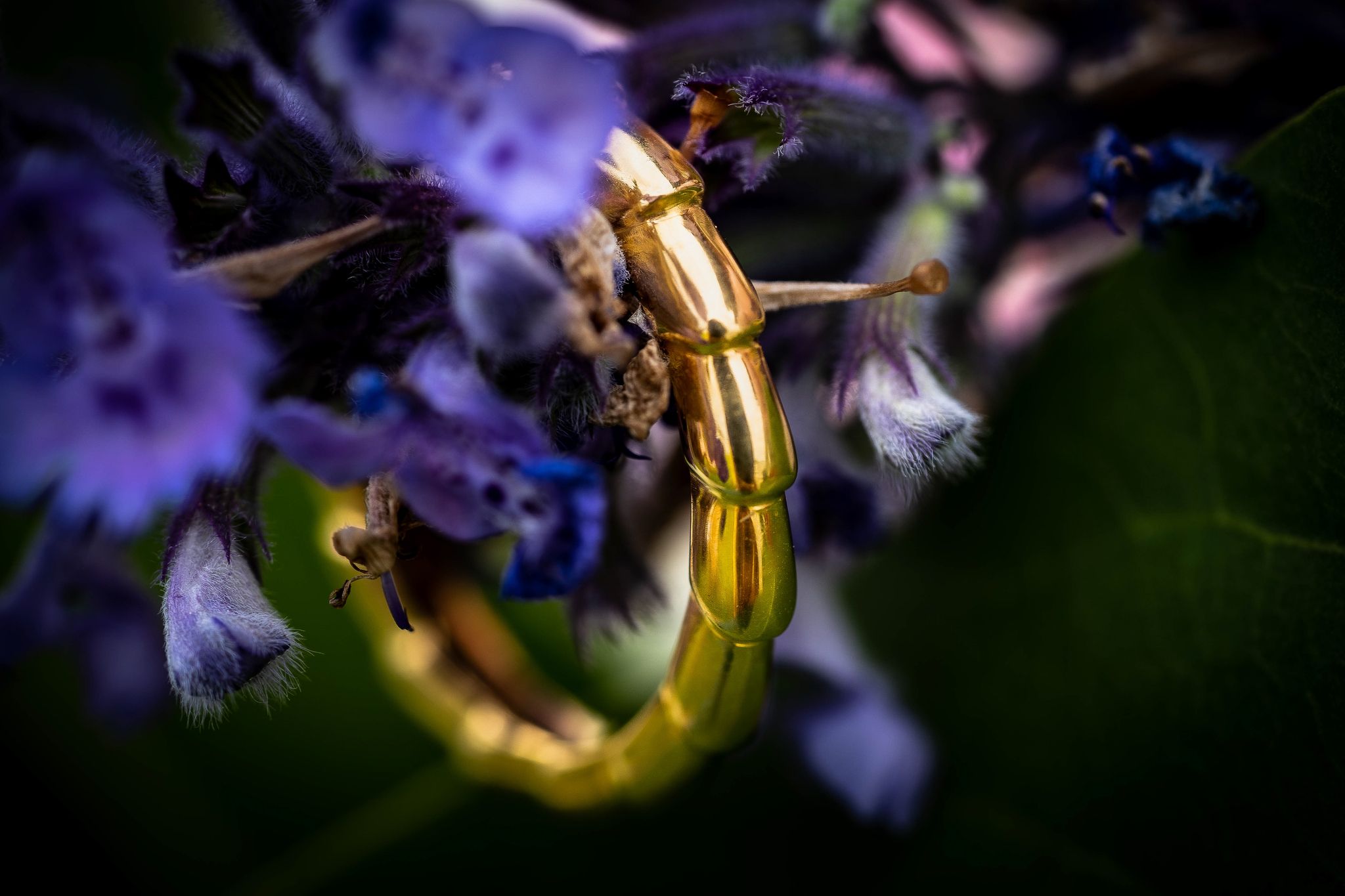 YIN & YANG. Ring, guld