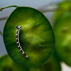 YIN & YANG. Klättrande örhängen, silver