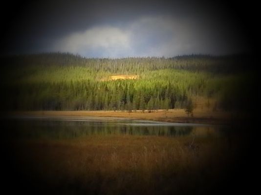 Vildmark i sikte