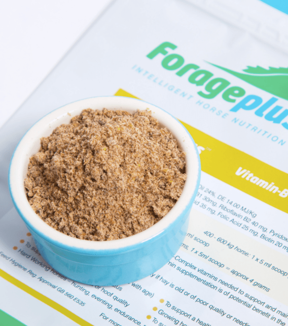 Forageplus: Vitamin B-plus, 1kg