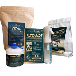 HOVPAKET: Nordic Winter