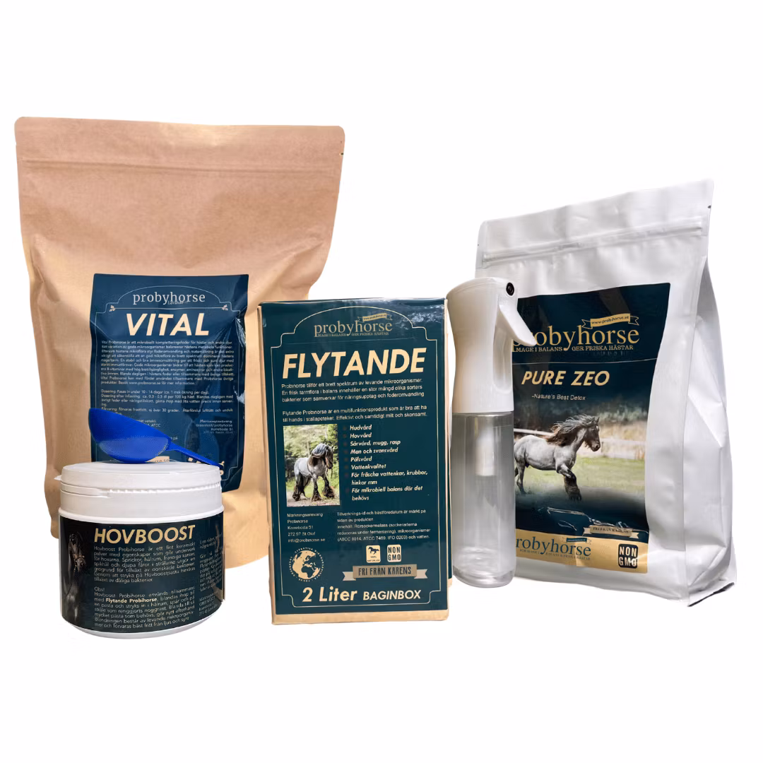 HOVPAKET: Nordic Winter