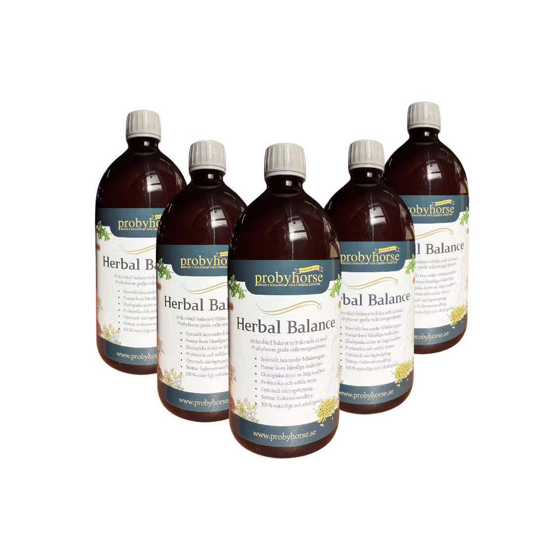 5 L Herbal Balance (5 x 1 Liter)