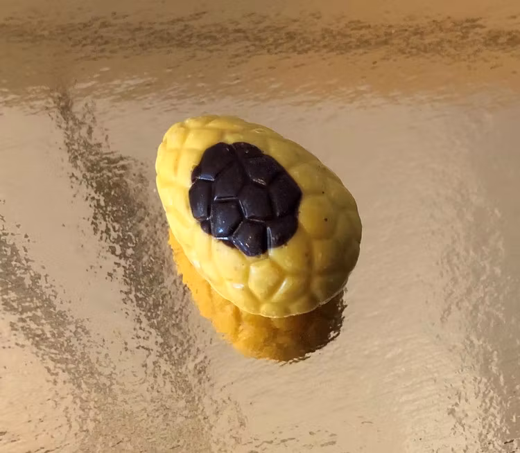 Chokladägg Vit choklad med vanillabourbon & karamelliserad hasselnöt (INNEHÅLLER NÖTTER)