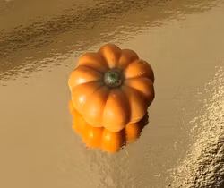 Hasselnöts fyllning (INNEHÅLLER NÖTTER)