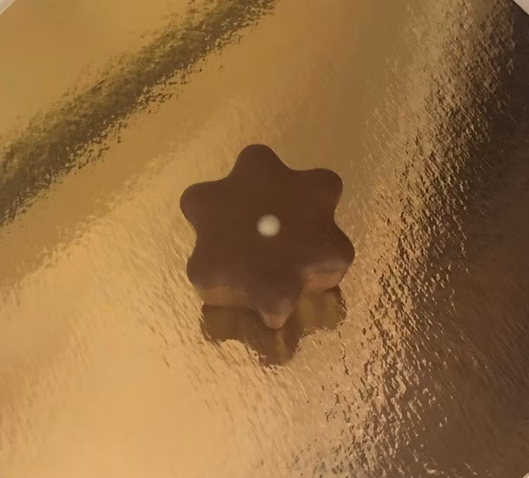 Julstjärna med Nougatkrisp  (Innehåller NÖTTER & GLUTEN)