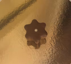 Julstjärna med Nougatkrisp  (Innehåller NÖTTER & GLUTEN)