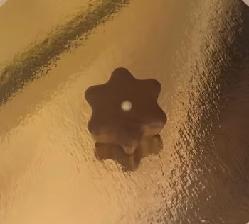 Julstjärna med Nougatkrisp  (Innehåller NÖTTER & GLUTEN)