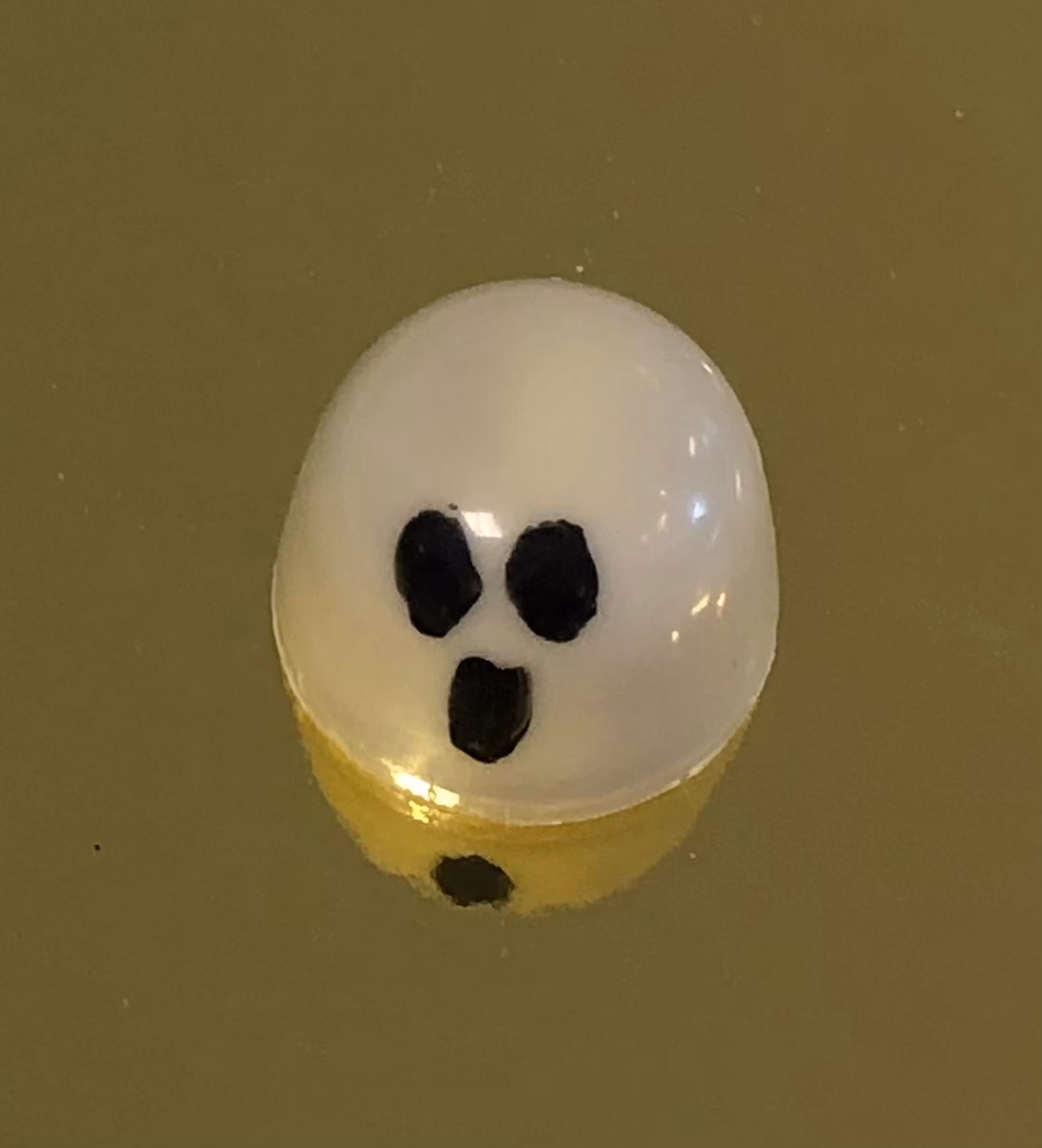 Vår egen: Spöke  Kladdkaka