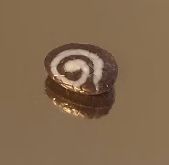 Ägg Latte Macchiato