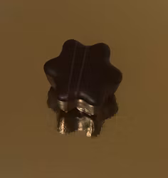 Julstjärna med julkryddor