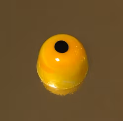 Vår egen: Lussebulle