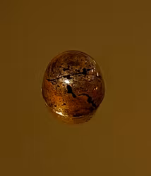 Vår egen: Hasselnötsnougat (Vegansk)