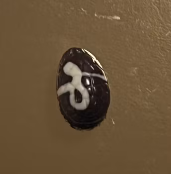 Ägg Mörk med hasselnötscrunch (Innehåller NÖTTER)