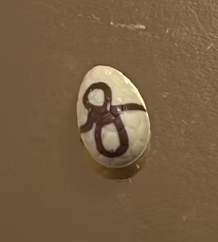 Ägg Vit med hasselnötscrunch (Innehåller NÖTTER)