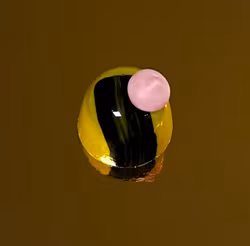 Vår egen: Marängswiss