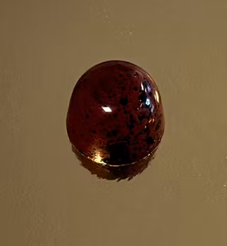 Vår egen: Hallon & lakrits