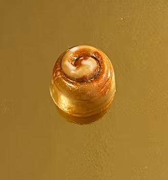 Vår egen: Kanelbulle pralin