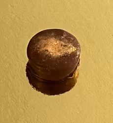 Vår egen: Dubai pralin