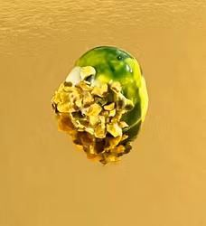 Kopia Vår egen: Pistage med crunch (Innehåller NÖTTER) (Vegansk)