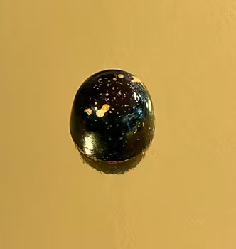 Vår egen: After eight