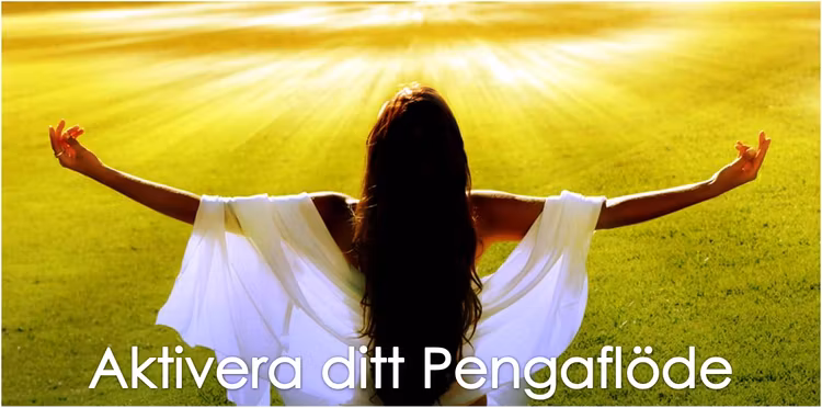 Workshop: Aktivera ditt Pengaflöde